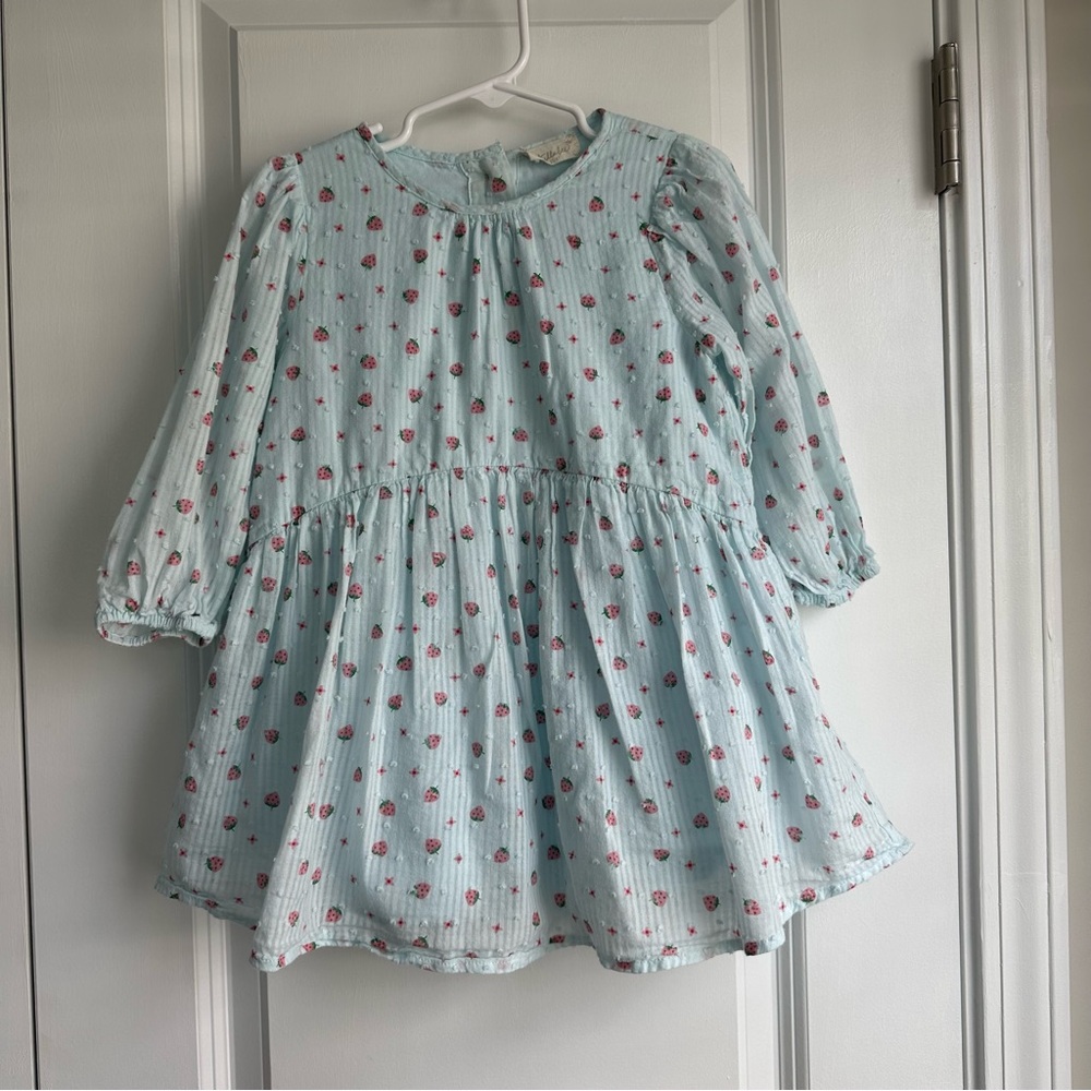 Tullabee Girls Lightweight Blue Strawberry Dress (Size 3T/4T)